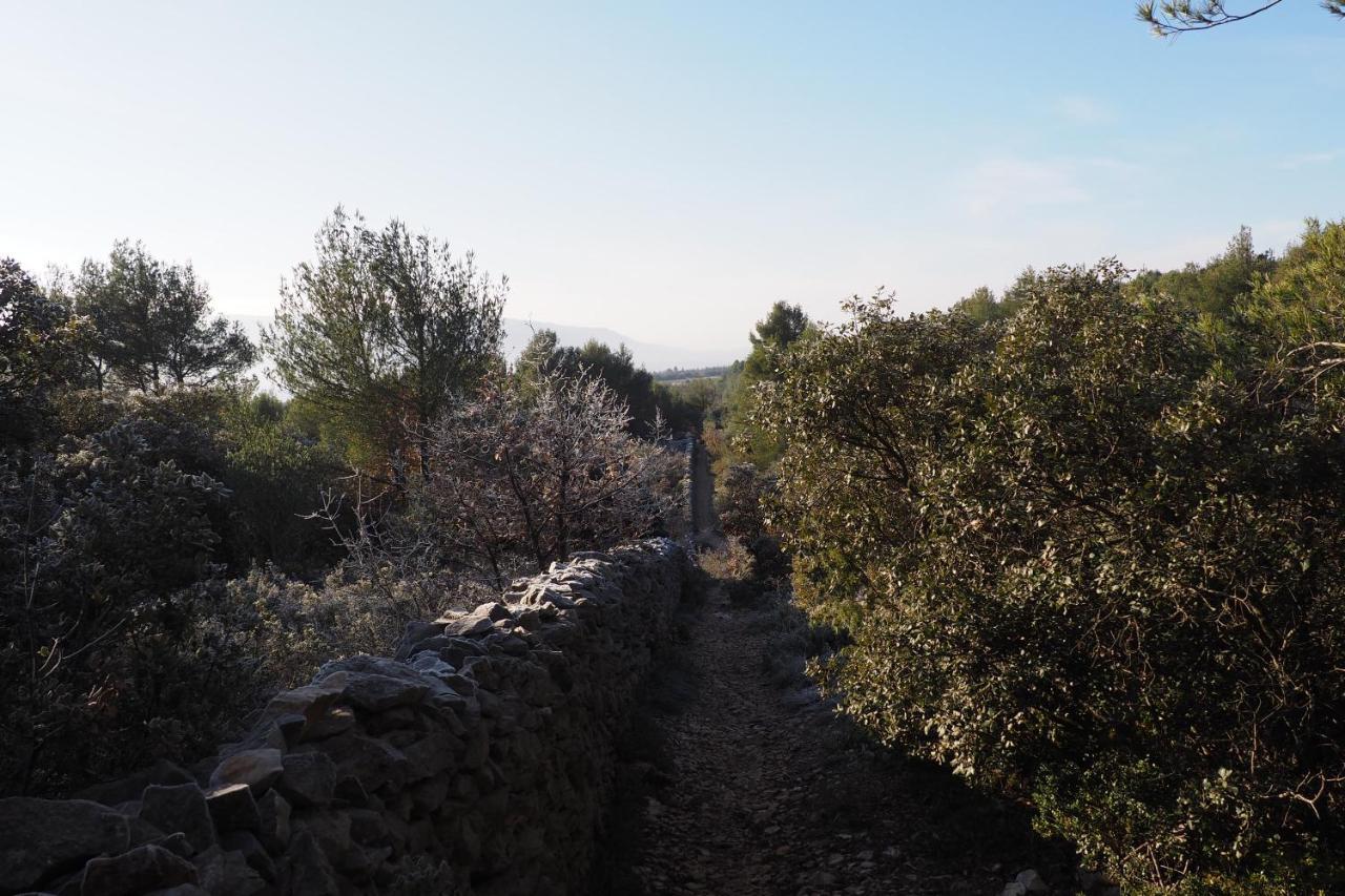 Chambres D'Hotes Le Relais Des Marmottes En Luberon Lagnes Bagian luar foto