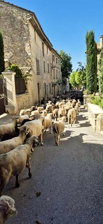Chambres D'Hotes Le Relais Des Marmottes En Luberon Lagnes Bagian luar foto