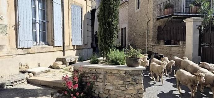 Chambres D'Hotes Le Relais Des Marmottes En Luberon Lagnes Bagian luar foto
